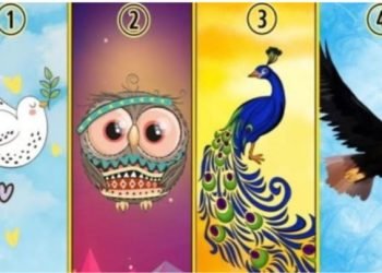 Perhatikan, Burung Apa yang Pertama Anda Lihat dan Temukan Jawaban Karakter serta Kepribadian Anda