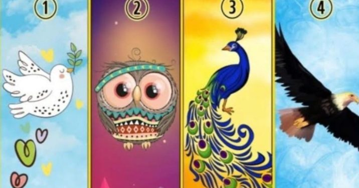 Perhatikan, Burung Apa yang Pertama Anda Lihat dan Temukan Jawaban Karakter serta Kepribadian Anda