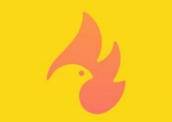 Pilih Gambar Ayam atau Api dan Temukan Seberapa Besar Kekuatan Dalam Diri Anda