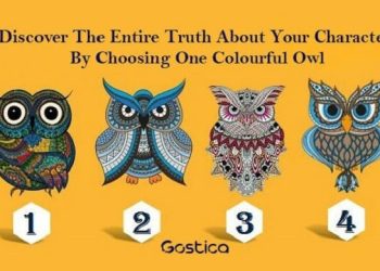 Pilih Gambar Burung Hantu Ini dan Temukan Karakter Asli Anda