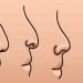 Lihatlah Bentuk Hidung Anda dan Temukan Karakter Aslimu
