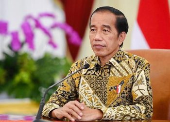 Jokowi Tegaskan Larangan Ekspor Minyak Goreng