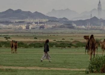 Dulunya Gersang dan Kering Kini Pegunungan di Arab Saudi Menjadi Hijau, Ini Penyebabnya