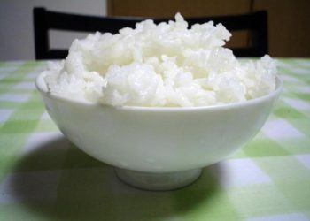 Diet Nasi yang Kembali Populer