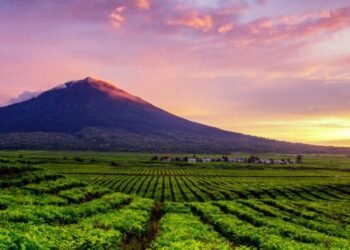 Gunung Kerinci Tempat Heli Kapolda Jambi Jatuh