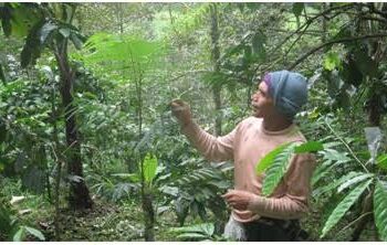 KHDPK Menjamin Kelestarian Hutan Jawa, Petani dan Perhutanan