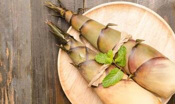 Rebung atau Tunas Bambu