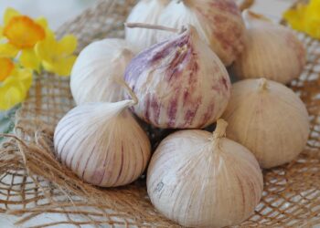 Manfaat bawang putih tunggal bagi kesehatan sehari-hari