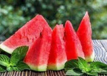 Buah semangka baik untuk kesehatan terutama bagi penderita asam Lambung