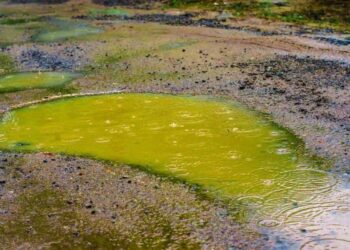 Bahaya Hujan Asam yang Perlu Diketahui