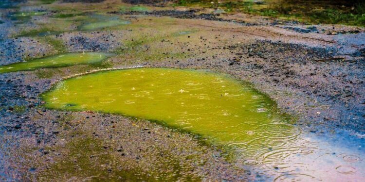 Bahaya Hujan Asam yang Perlu Diketahui