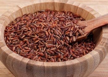 Beras merah yang kaya manfaat bagi tubuh (Okezone)