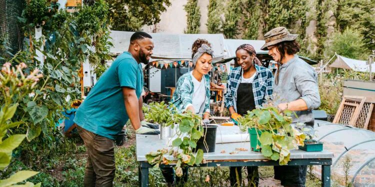 Hobi yang menghasilkan pendapatan (Martha Stewart)