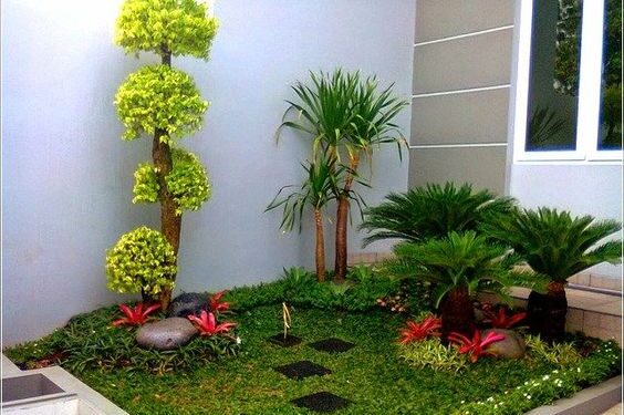 Membuat taman rumah yang ekonomis (Demix)
