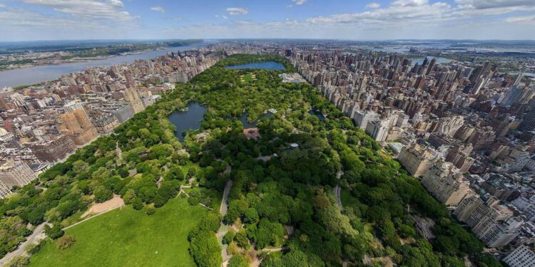 Peran hutan kota yang sering dilupakan (RimbaKitacom)