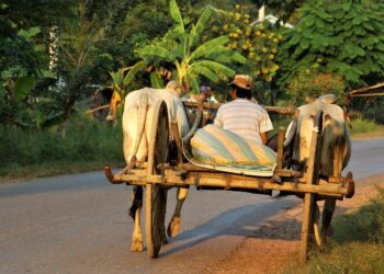 Apa Itu Filosofi Hidup Biasa Aja? Nikmati Hidupmu