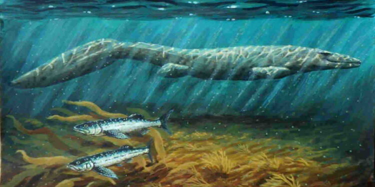 Ilustrasi Mosasaurus yang mengerikan