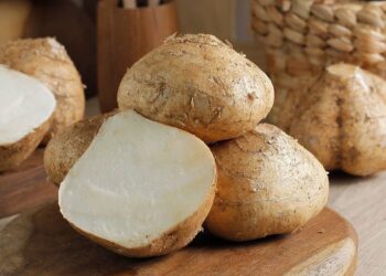 Manfaat Bengkoang untuk Kesehatan Tubuh