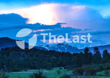 Watermark yang makin populer