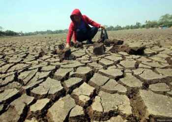 Fenomena El Nino mengancam sawah tadah hujan di Kabupaten Bandung Barat