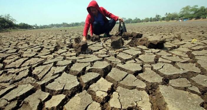 Fenomena El Nino mengancam sawah tadah hujan di Kabupaten Bandung Barat