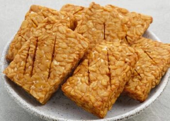 Masyarakat Dianjurkan Jangan Makan Tempe Secara Berlebihan