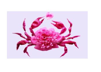 Sifat dan Karakter Zodiak Cancer