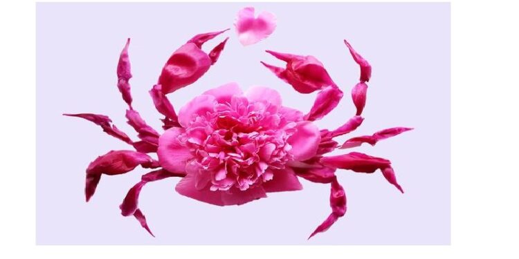 Sifat dan Karakter Zodiak Cancer