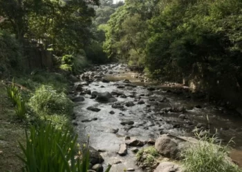 DLH Imbau Warga Bandung Gunakan Masker dan Tidak Bakar Sampah saat Kondisi Udara Belum Membaik