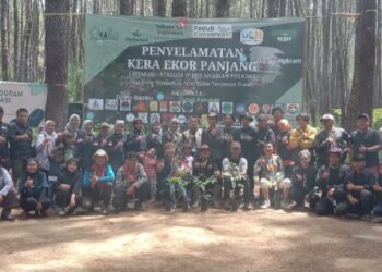 Pegiat lingkungan hidup laksanakan penanaman pohon dalam upaya meminimalisir konflik kera ekor panjang dengan manusia
