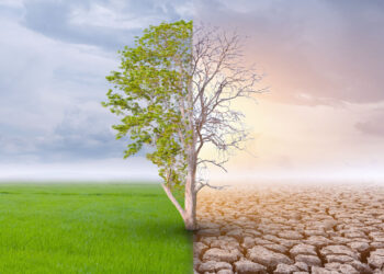 Teknologi Baru Tawarkan Harapan untuk Atasi Polusi dan Perubahan Iklim