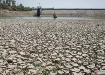 Seluruh Kelurahan di Cimahi akan Terdampak Kekeringan