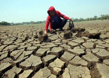 Kepala BMKG Sebut Kemarau di Indonesia Tak Separah Korea Selatan