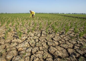 El Nino dan Ancaman yang Mengintai