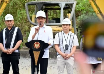 Jokowi Tegaskan Investasi di IKN Bukan Hal yang Sia-sia
