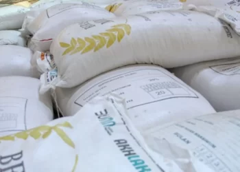 Pemerintah Salurkan 210 Ribu Ton Bantuan Beras Per-Bulan, Ini Kebijakannya