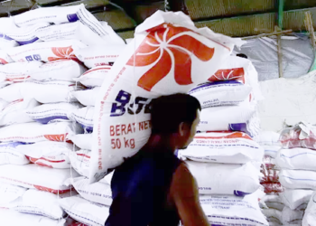 Pemerintah Alokasi Rp8 Triliun untuk Bansos Beras