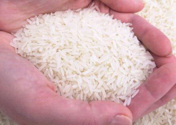 Stok Beras Masih Aman, Tapi Harga Naik Terus