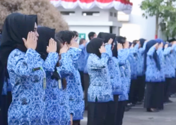 CPNS 2023: Daftar Formasi untuk Lulusan S1 dari Berbagai Bidang