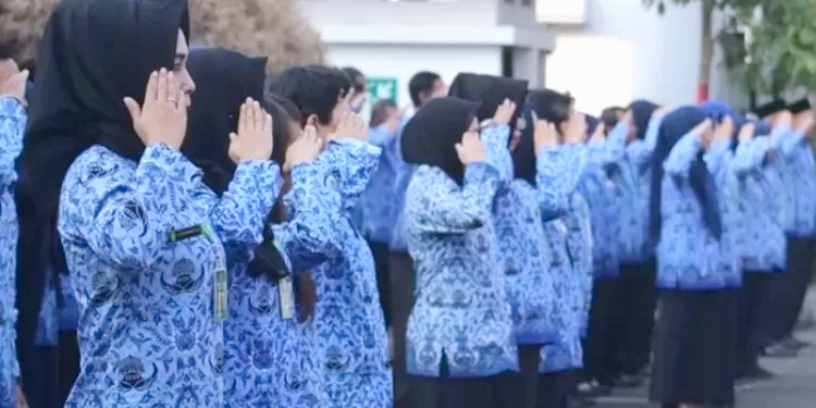 CPNS 2023: Daftar Formasi untuk Lulusan S1 dari Berbagai Bidang