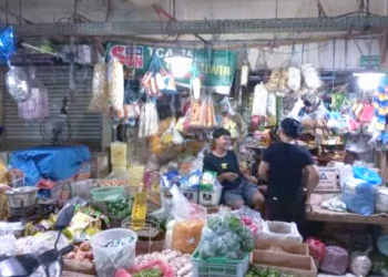 Harga Pangan Indonesia Naik-Turun, Beras dan Minyak Goreng Curah Stabil