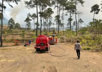Kebakaran Hutan di Gunung Guntur, Garut Diduga Dibakar dengan Sengaja, Polisi: Kami Sedang Melakukan Penyelidikan