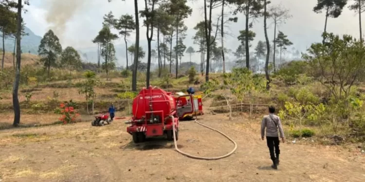 Kebakaran Hutan di Gunung Guntur, Garut Diduga Dibakar dengan Sengaja, Polisi: Kami Sedang Melakukan Penyelidikan