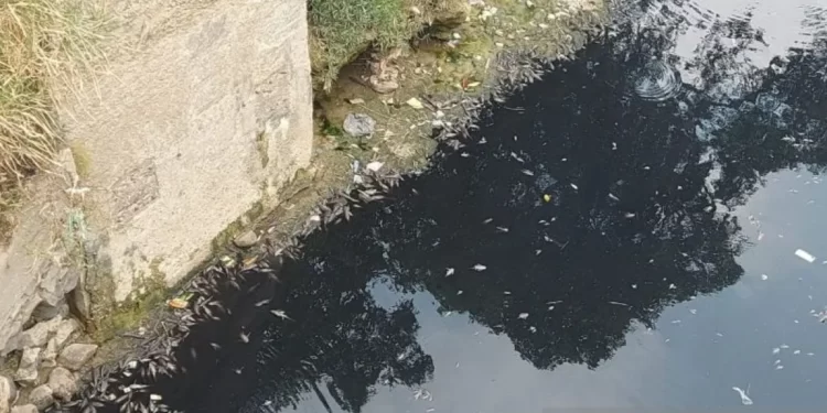 Air Sungai Cileungsi Bogor Kembali Berwarna Hitam