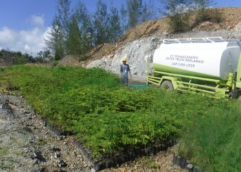 PT Tekindo Energi Hijaukan Kembali Area Reklamasi Pasca Tambang