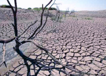 Kekeringan di Bali Semakin Parah, 80 Hari Tak Turun Hujan