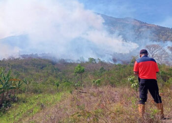 Kebakaran di Lereng Gunung Agung Landa 8 Hektar Lahan