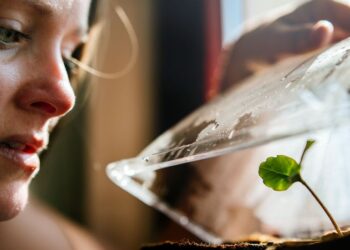 Menggunakan Teknologi Canggih, Ilmuwan Temukan Cara Berbicara dengan Tanaman