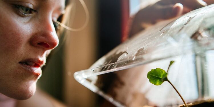 Menggunakan Teknologi Canggih, Ilmuwan Temukan Cara Berbicara dengan Tanaman