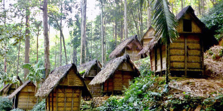 Perubahan Iklim Picu Kekeringan di Banten, Petani Badui dan Warga Terdampak